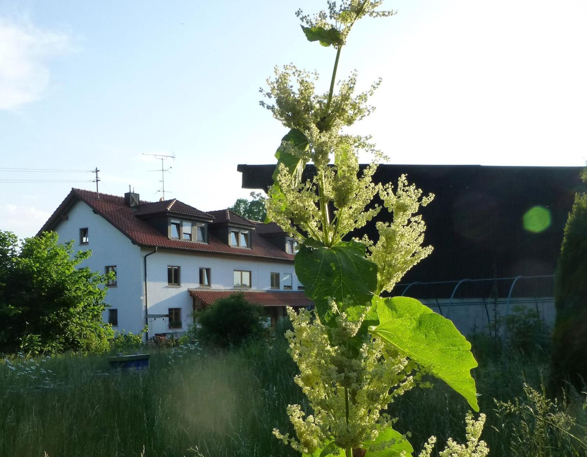 Moorwiesenhof Ostrach エクステリア 写真